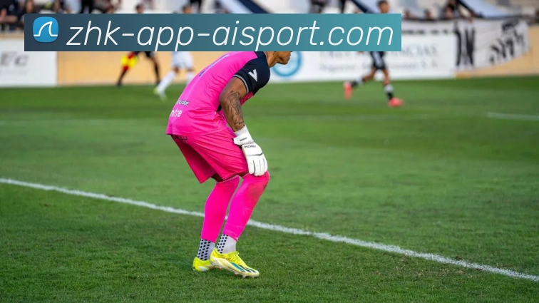 爱体育平台生态图